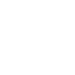 Furniture and Specialty Item Moving